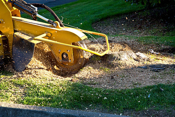 Artificial Turf Installation in Old Brookville, NY